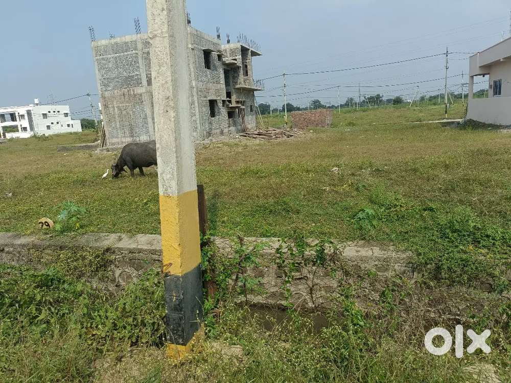 Jumnal Main road plot perjade layout