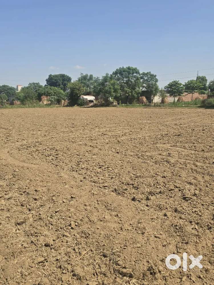Plots for sell size minimum 50 sq yards to 200 sq yards