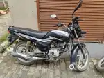 Platina 2023 model
