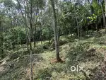 20 CENT HOUSE PLOT FOR SALE IN MANANTHAVADY
