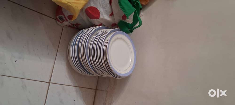 PLATES MADE IN USSR ( RUSSIA)