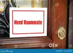 Room mate need near Airport Aerodom Area
