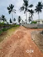 3.8 cent land