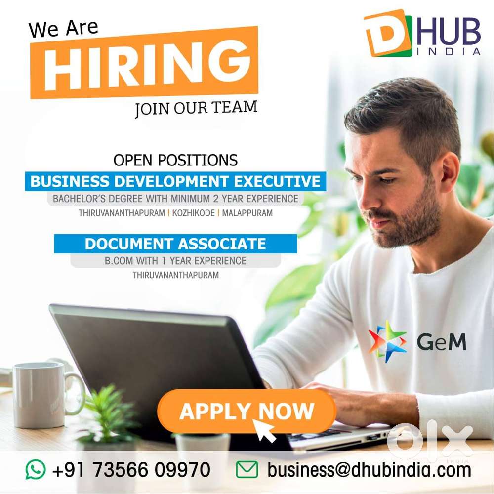 Business Development Executive