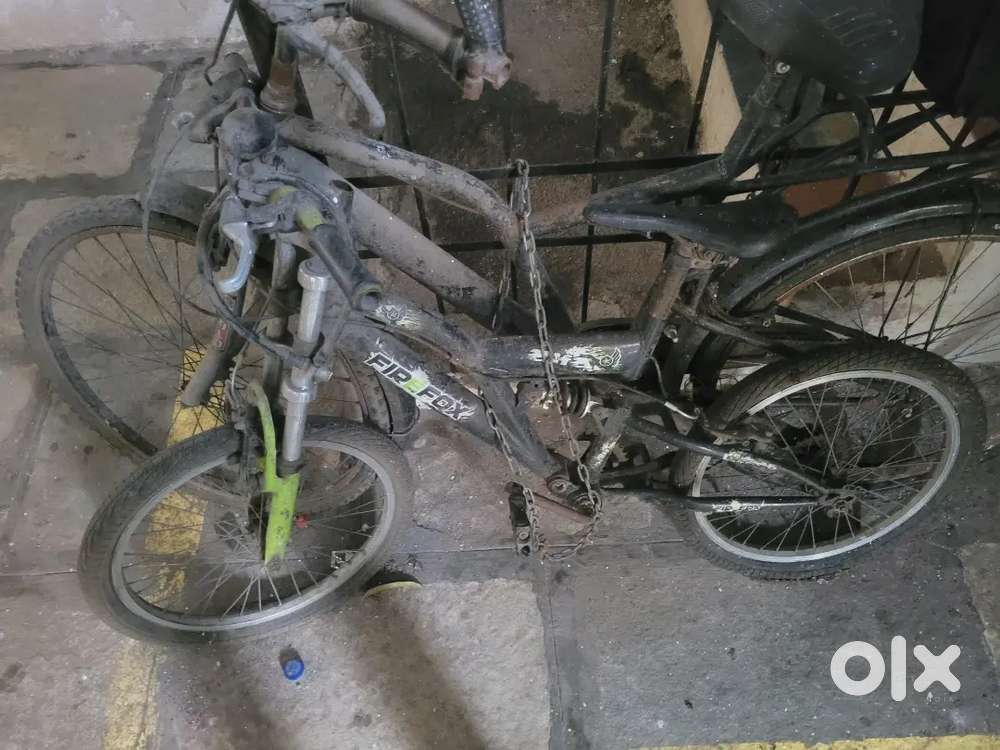 Alfa for sell