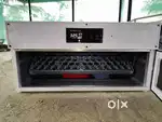 Egg incubator