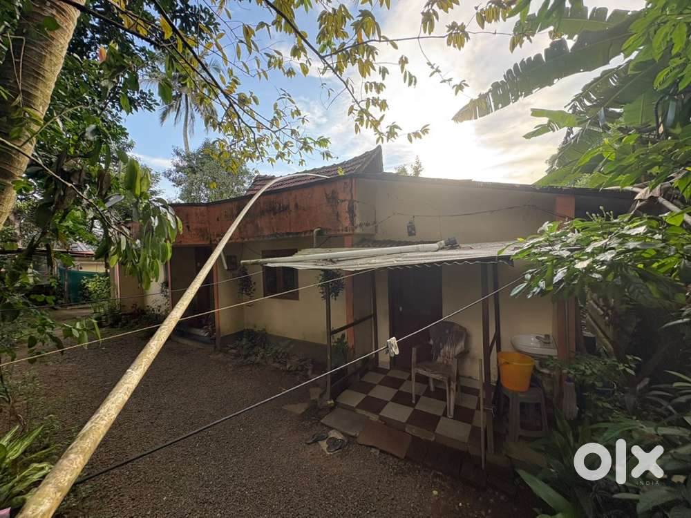 3 house in 1 plot river view