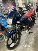 Tvs Radeon 2023 Model bike for sell available at Zoombikes24 Noida