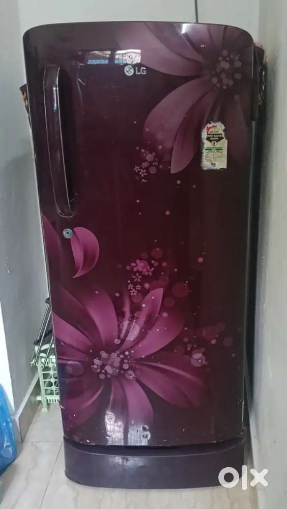 LG company fridge and 2year warranty
