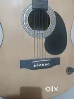 Acoustic Guitar