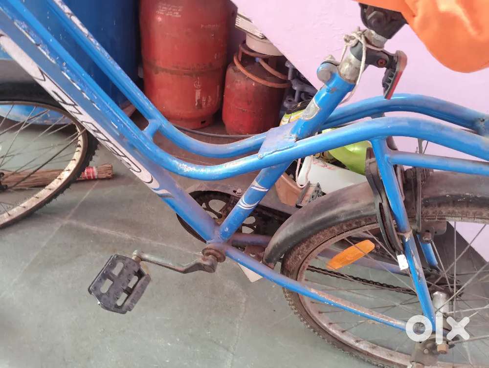 Avon blue colour cycle