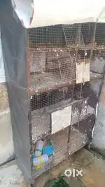 Sale my cage urgent very hard cage