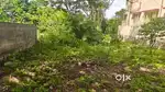 6 Dismil Pure Genral Plot in Singh More Latma Ranchi