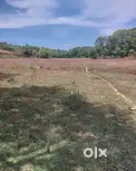 3 ACKRS AGRICULTURE LAND FOR SALE