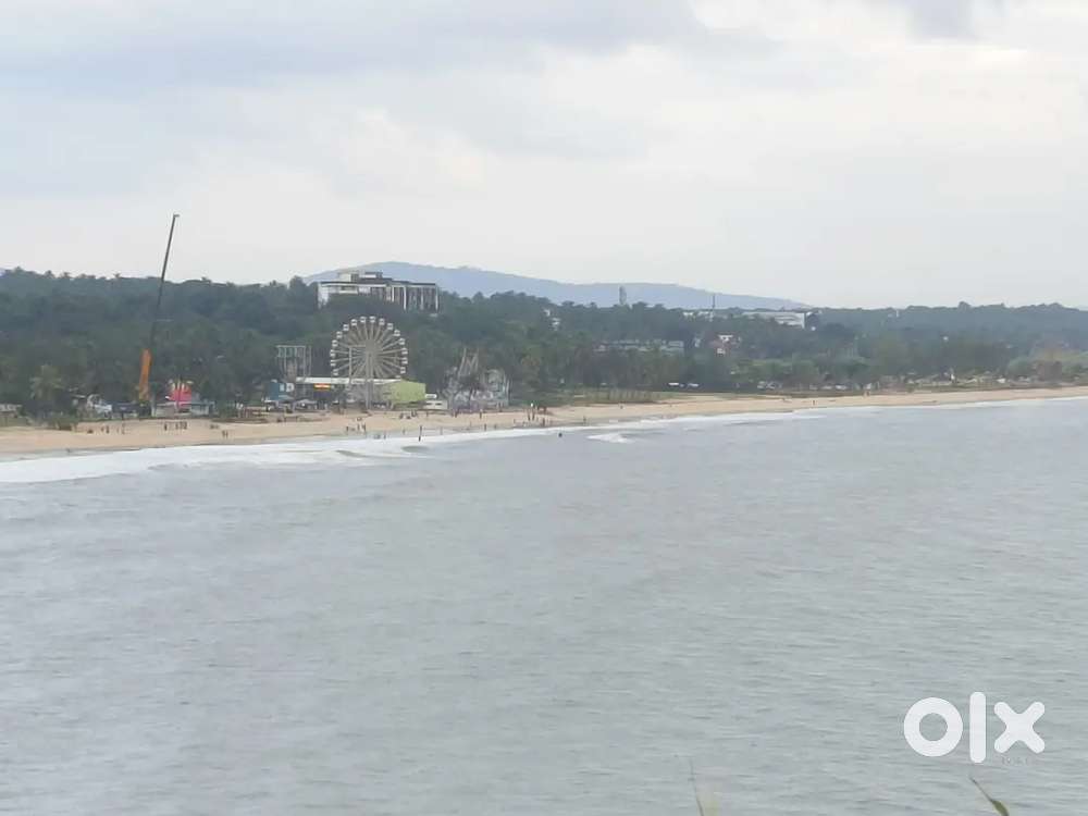 Metal polishing and buffer