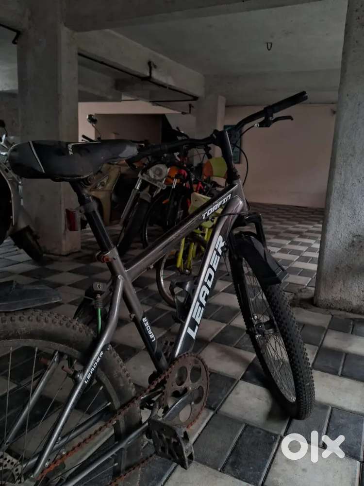 Gearless cycle