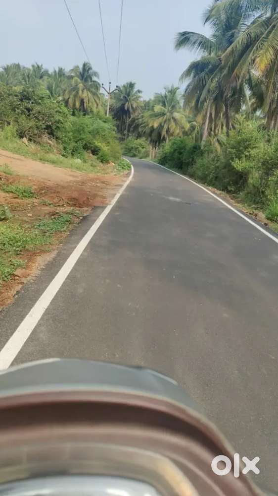 Aliyar dam nearly coconut property sales