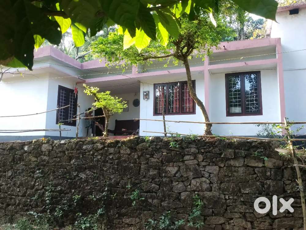ടാർ വഴി ഫ്രണ്ടേജ്