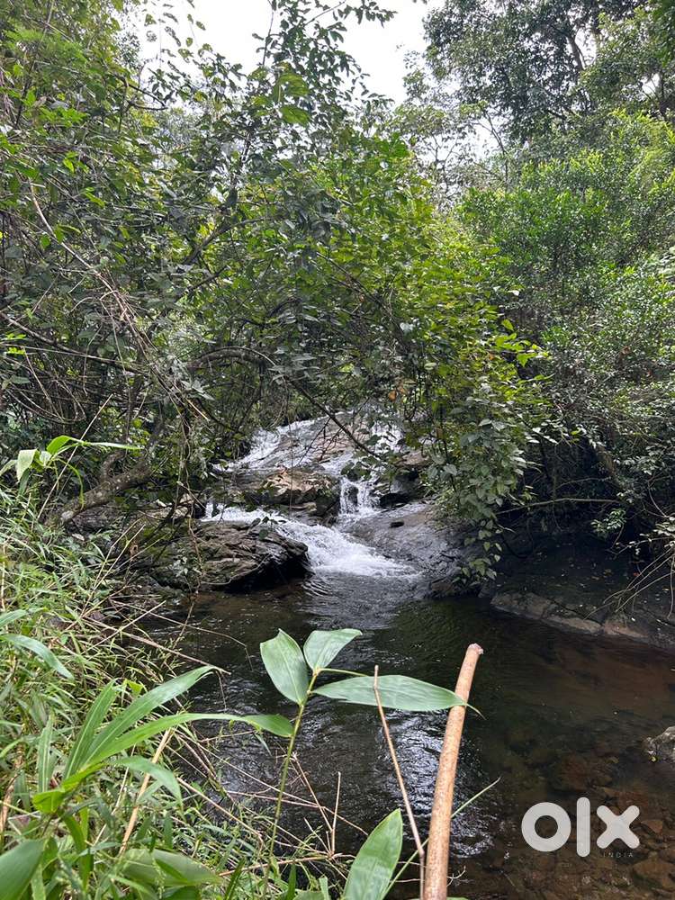 Land for sale near vagamaon in affordable price