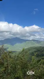 Looking for all rounder chef for kodaikanal resort