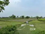 2 Bigha Registered Land for Sale