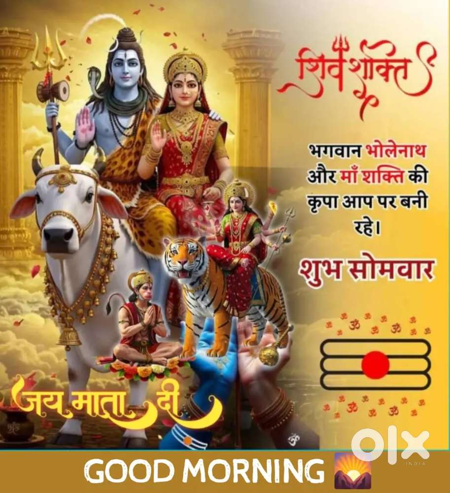 Rajput nonveg point chinhat lucknow