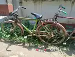 ভালো সাইকেল কিছু করানো দিয়ে দিতে হচ্ছে ভেরি গুড