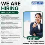 Job Title: HR Executive