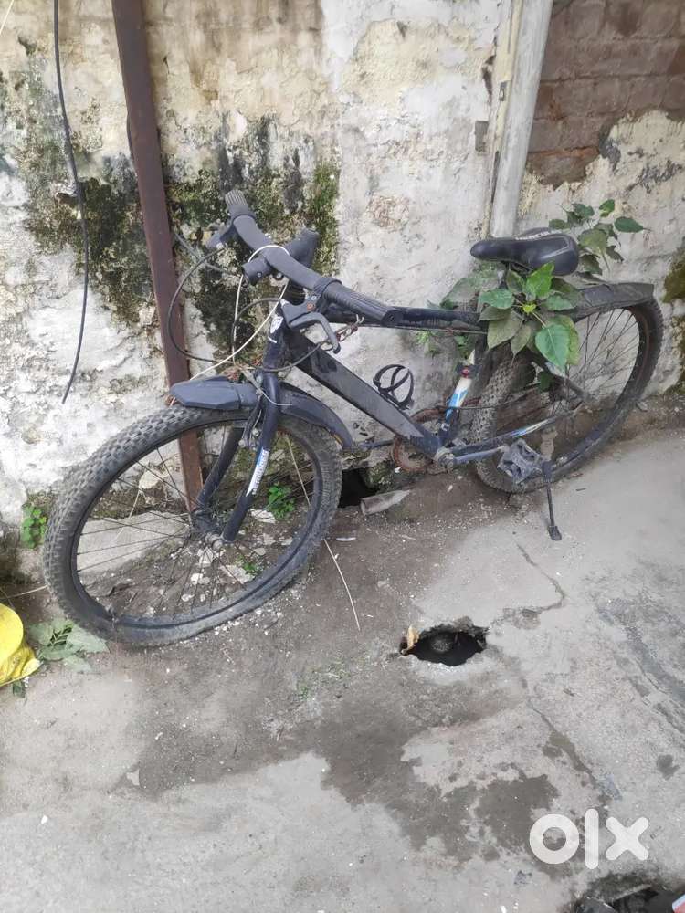 Hercules Storm NV 26 T