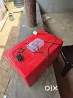 Egg Incubator for Sale