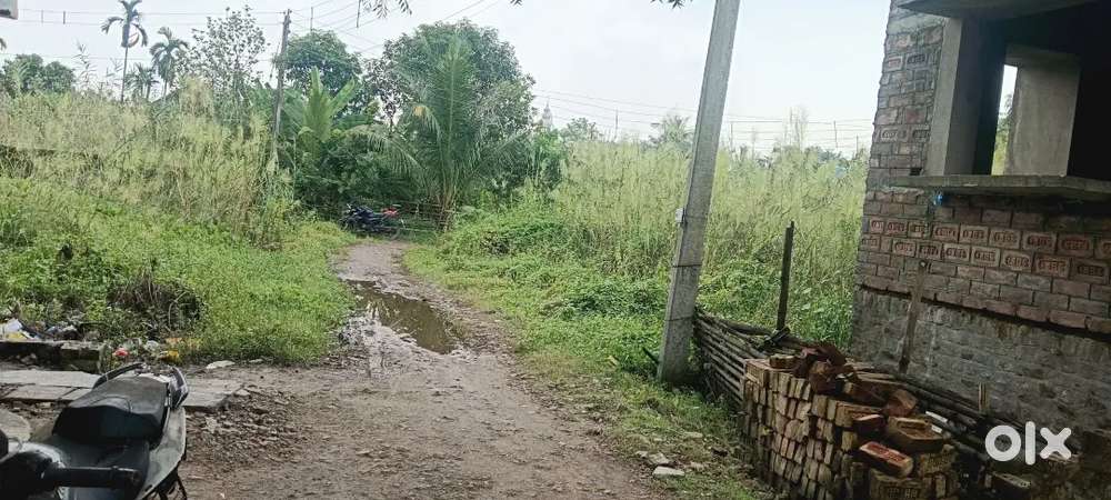 Kuo jodei Das para Atghra jomei selling koren bolben pin cod 700152