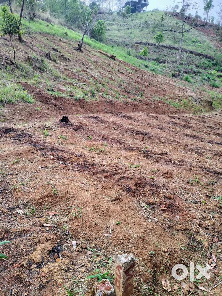 Tang 480 shi sq ym dang duna khyndiet ia kane