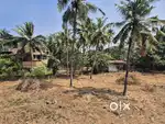 5,6,7,10 cent Residencial Land Pamboor Thrissur