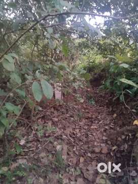 Plot with sanad for sale