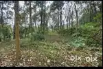 Land for sale 10 cent Meenadom