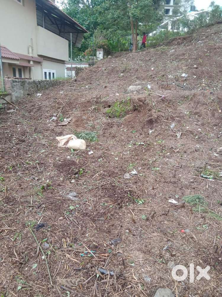 8 cent plot for sale in kodaikanal