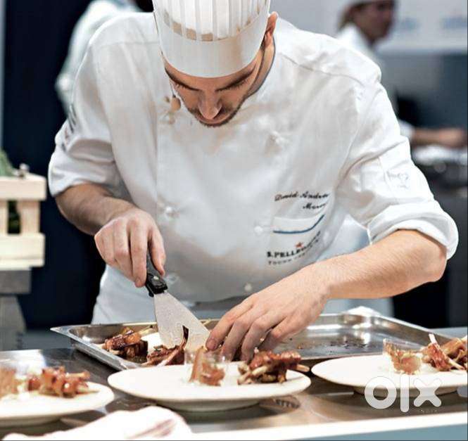 Kitchen Staff Kitchen Helper
