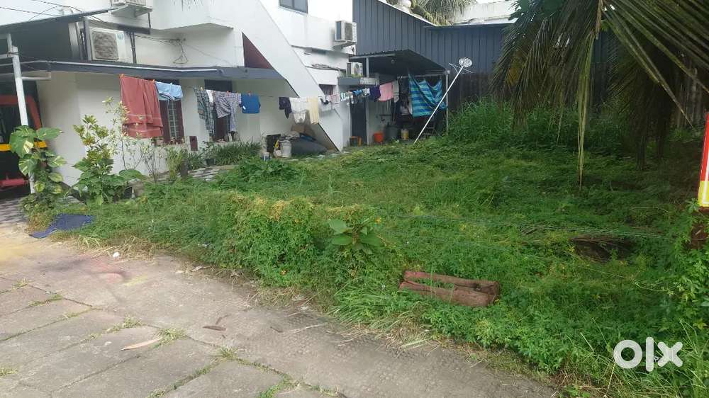 3 cents Commercial plot kaloor