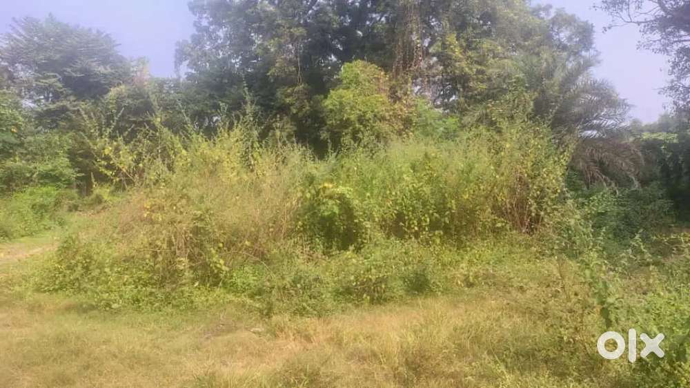 Sale my own plot anyone interested