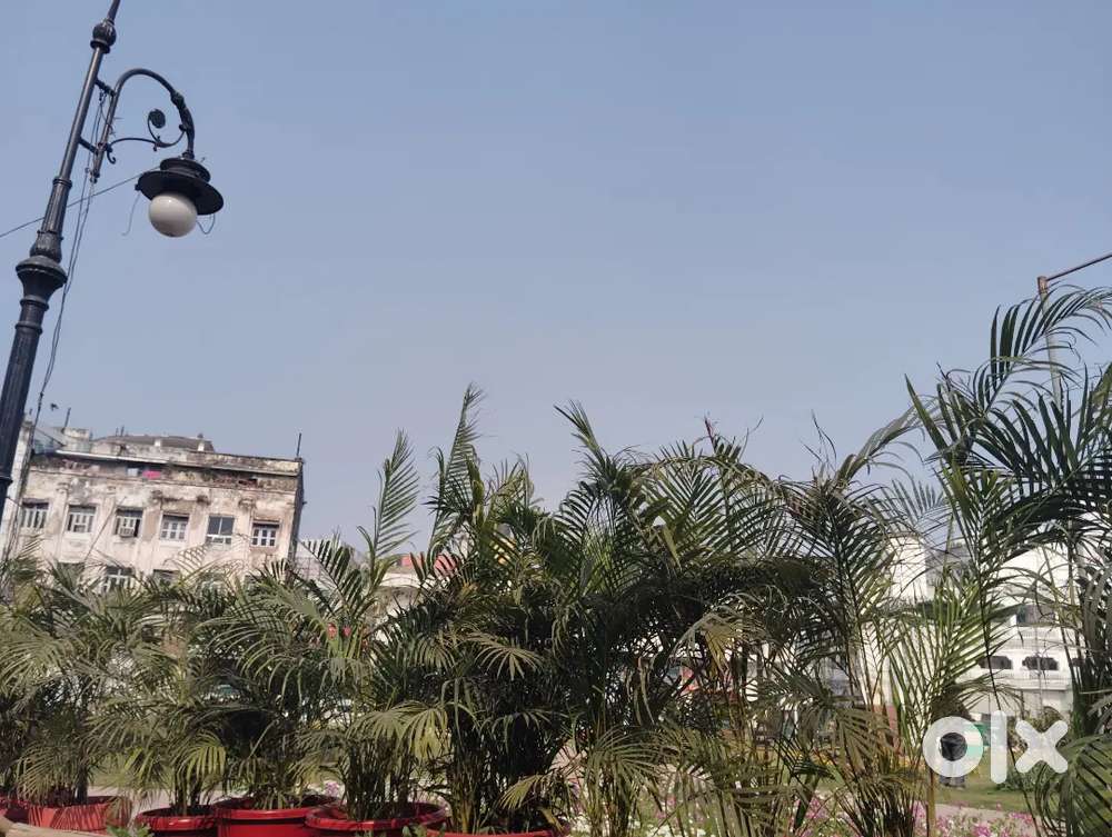 Room in durgakund Sunderpur