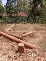 Plot for Sale @ Kannanallor