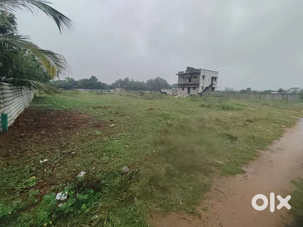 Plots for Sale Near Panjapur new bus stand