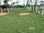Highway near by plot