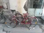 Good condition new cycle