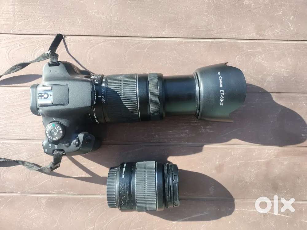 Fresh Condition Camera