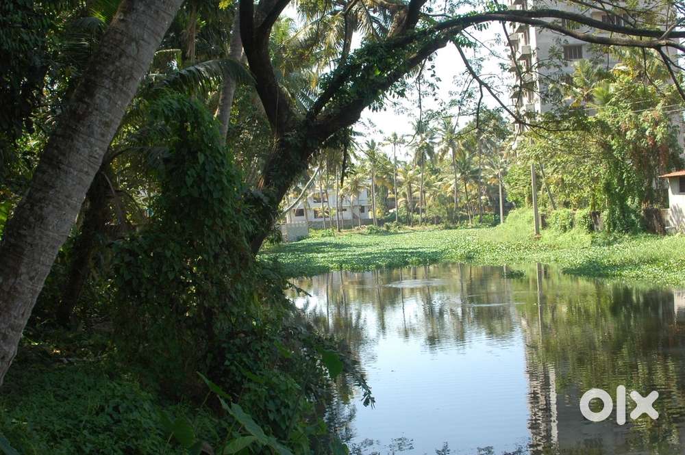 Palarivattom :Original land with waterfront, perfect for villas/houses