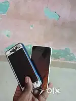 iPhone 6 and 5c