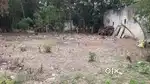 Argently sale a land