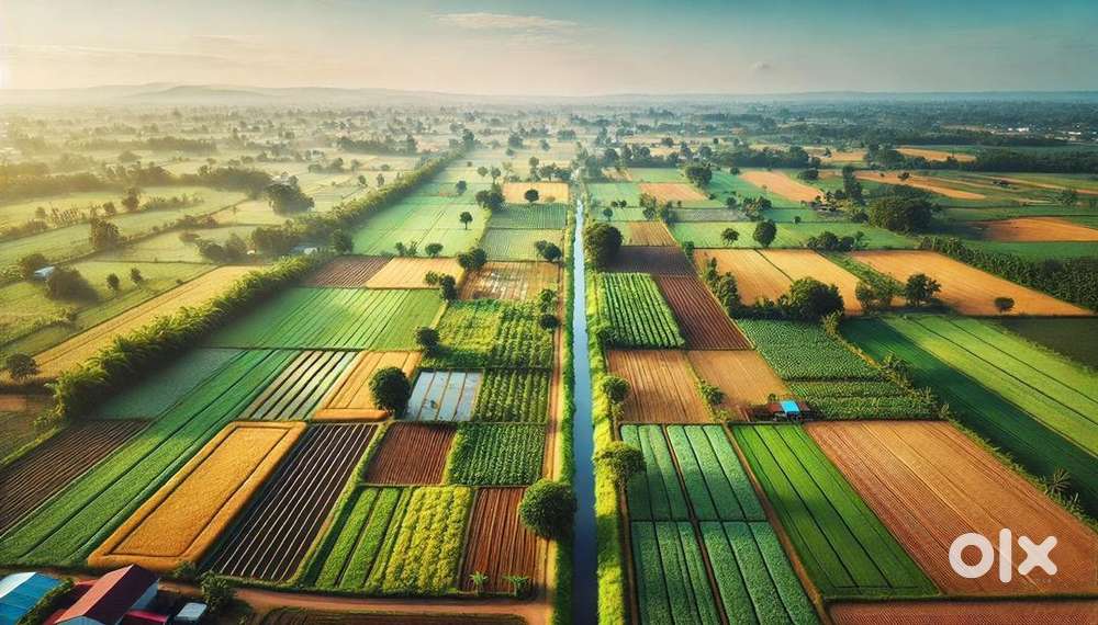 365 sq.yds plot @ 999/- ( FARM Plot )