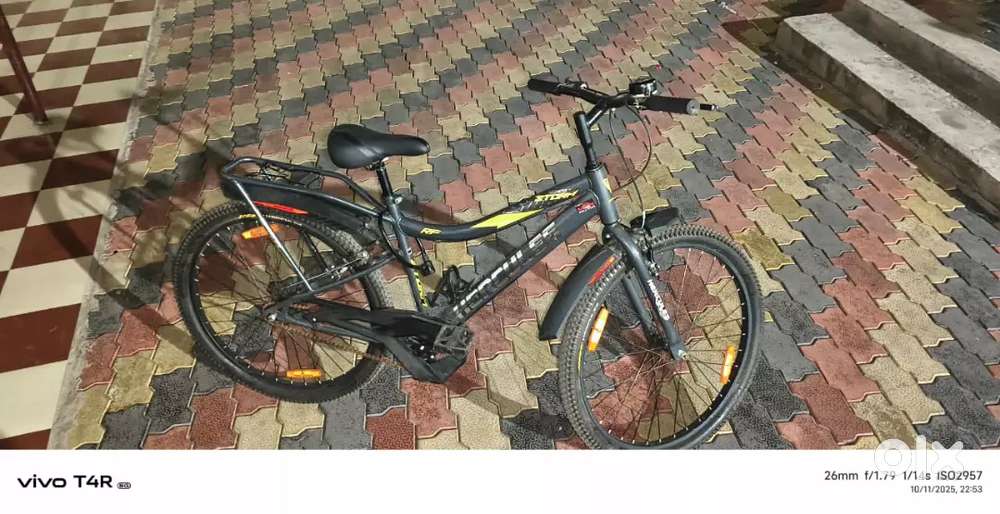 New cycle and perfect cycle